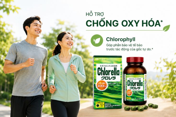 Ovien-uong-tao-chlorella-nhat-ban-ho-tro-chong-oxy-hoa.jpg